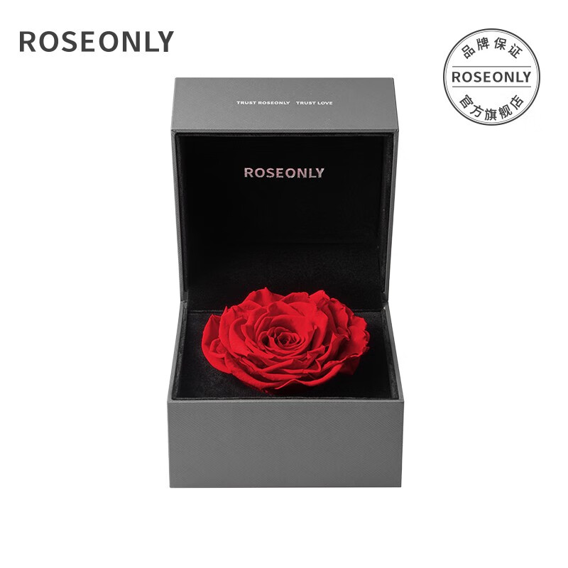 ROSEONLY 诺誓永生花玫瑰花星座盒方形求婚结婚纪念日送女友情人节生日礼物 红色