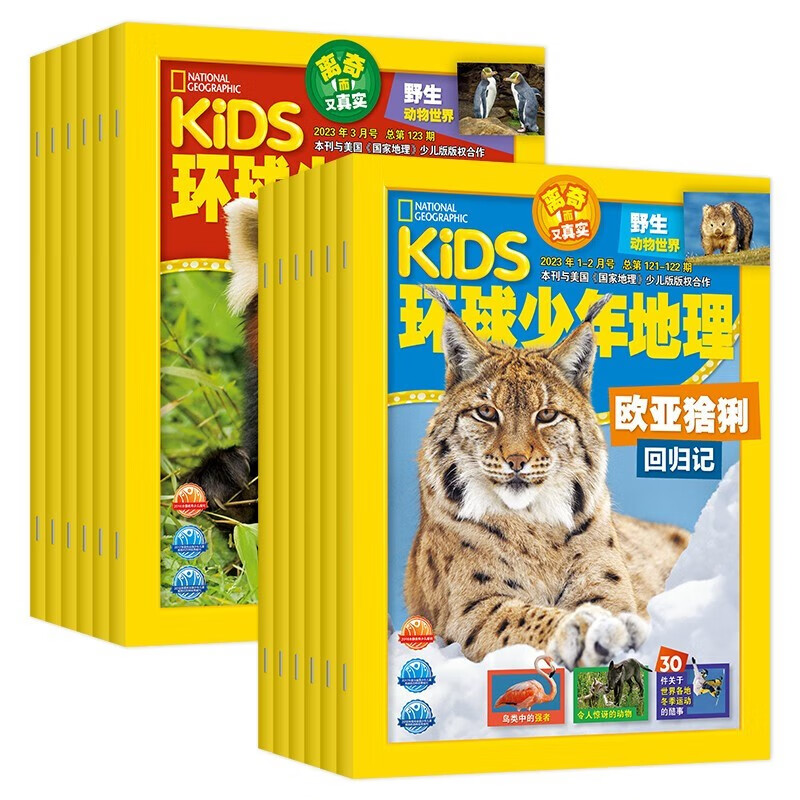 【官方正版】kids环球少年地理杂志2024年1月起订2024年1月-2024年12