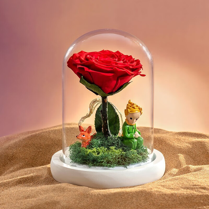 RoseBox生日礼物女小王子的玫瑰花鲜永生花礼盒六一儿童节送女友老婆实用
