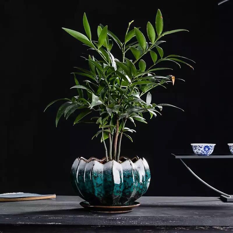 花盆花器历史价格走势查询|花盆花器价格比较