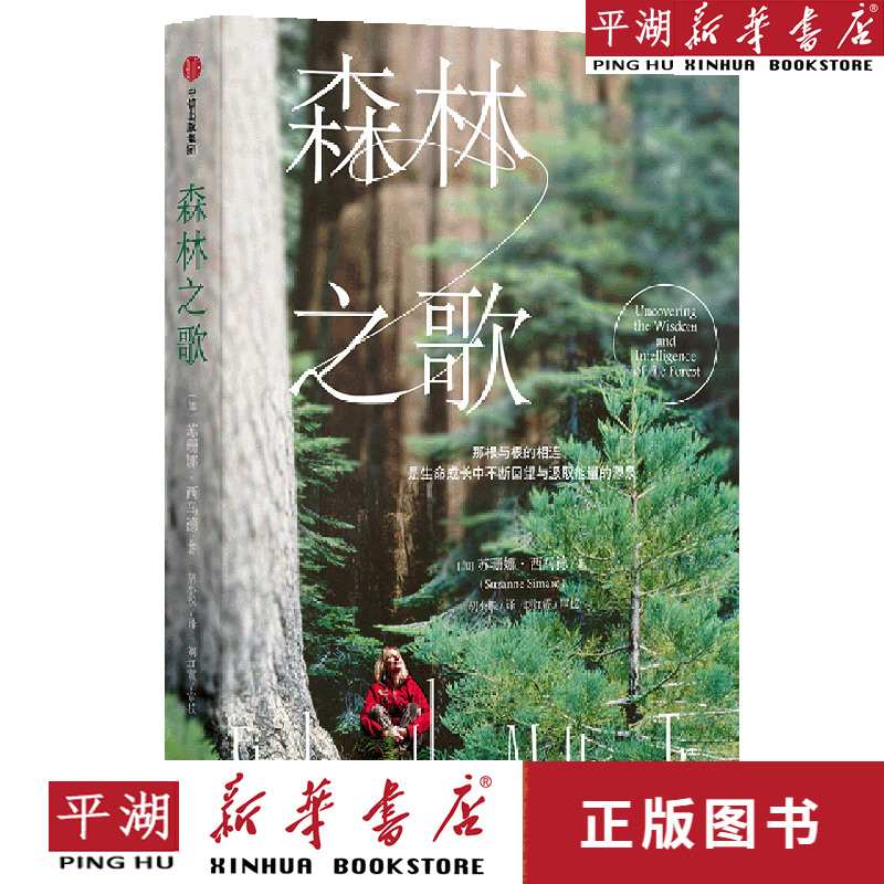 【新华书店正版书籍】森林之歌 文学小说