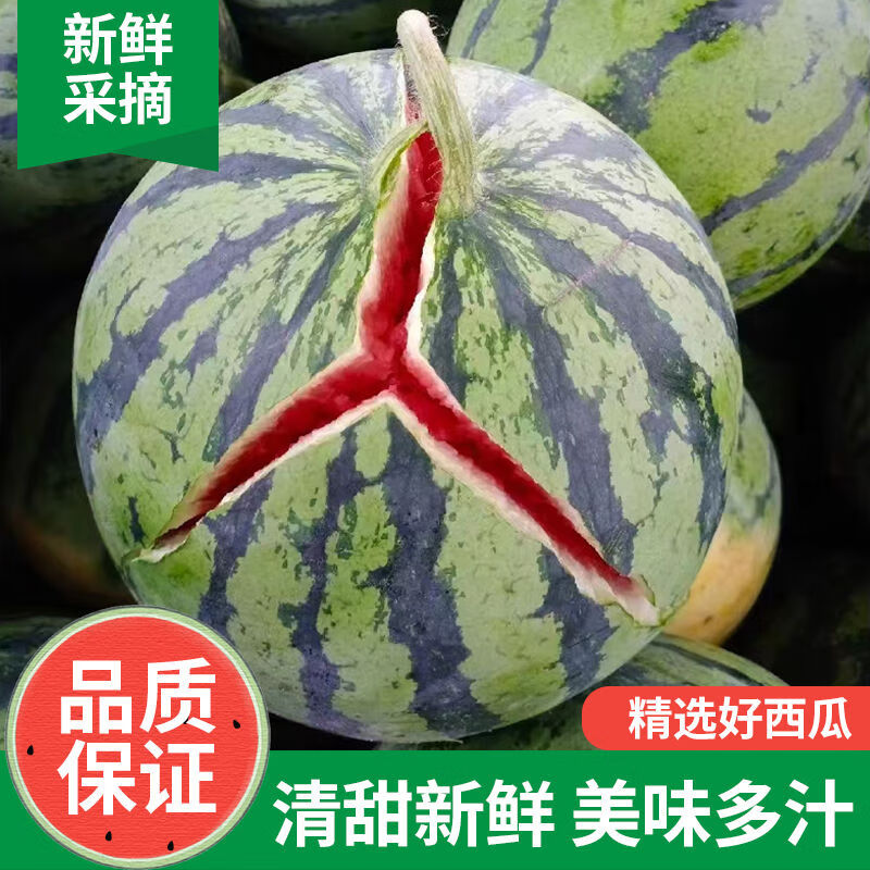 正宗冰糖麒麟西瓜超甜8424新鲜薄皮现摘无籽有籽新鲜水果美都西瓜 4斤