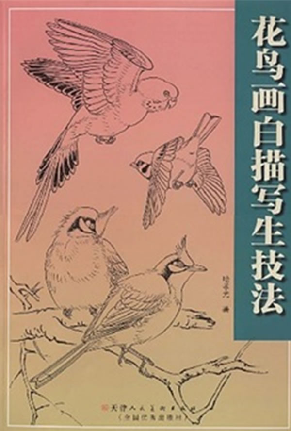 花鸟画白描写生技法