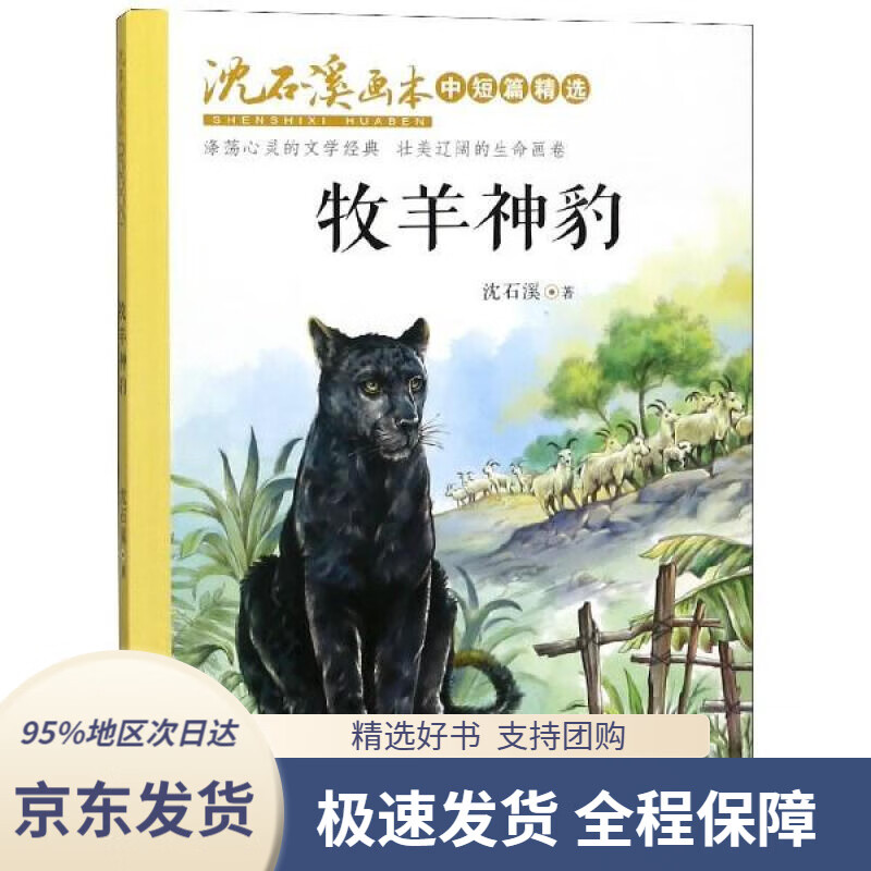 【新华书店正版】牧羊神豹沈石溪画本·中短篇精选(全彩美绘版)沈石溪