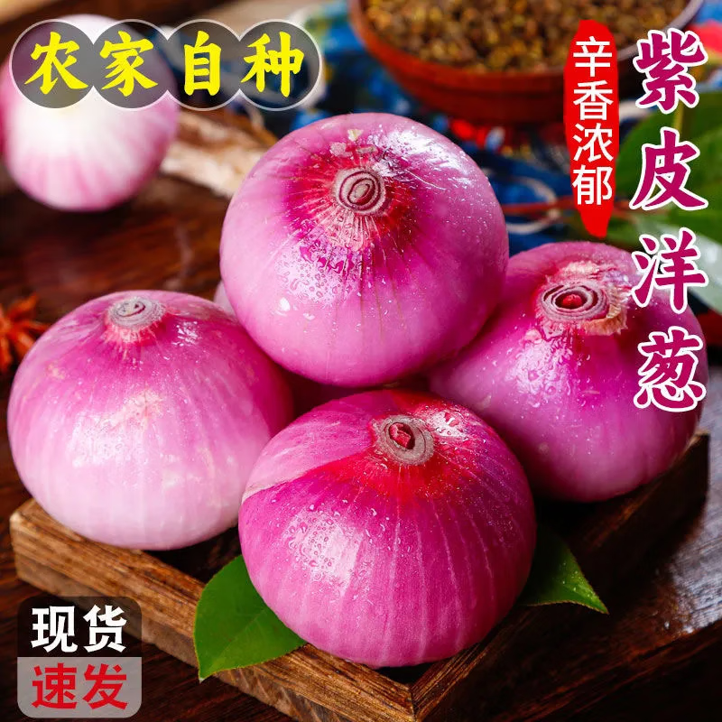 ����ĸ�׼ƻ� ������Ƥ���ũ�������������ͷ�����߲� ��Ƥ��� ���� 5��