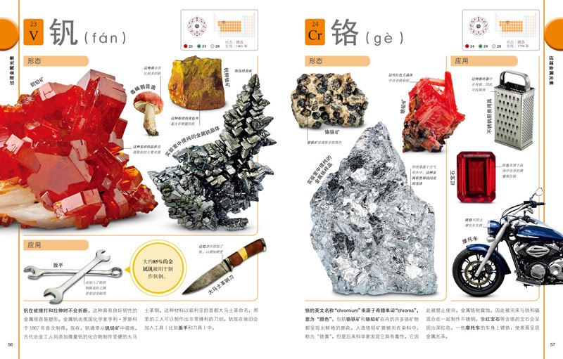 DK儿童图解百科全书（全4册）含交通工具、自然生命、岩石与宝石、化学元素 开学必备 课外读物详情图