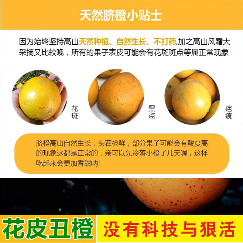 赣南脐橙正宗江西信丰新鲜当季现摘甜橙子生鲜水果原产地直发年货节日送礼 净重9斤状元优果（单果150-220g)