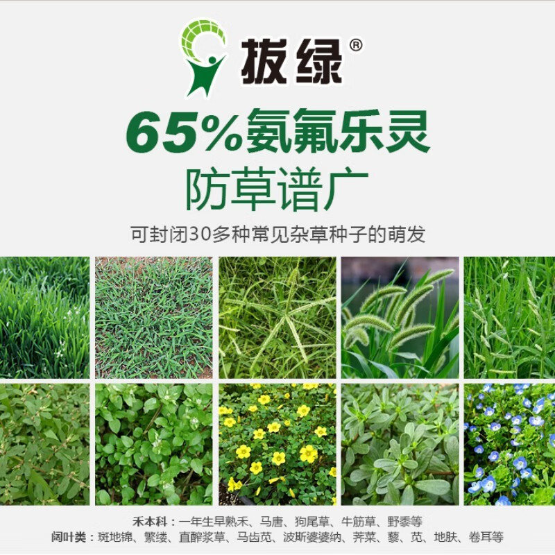 森康先正达拔绿除草剂65%氨氟乐灵草坪花卉苗木土壤芽前封草除草剂 20
