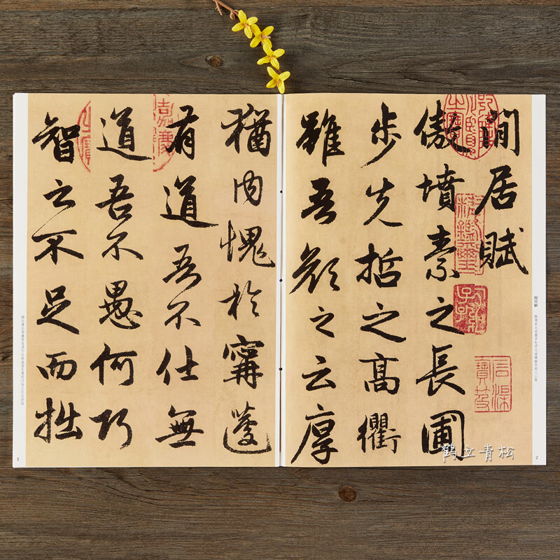 赵孟頫书闲居赋 经典碑帖放大本孙宝文主编 赵孟俯赵体行书毛笔字帖原