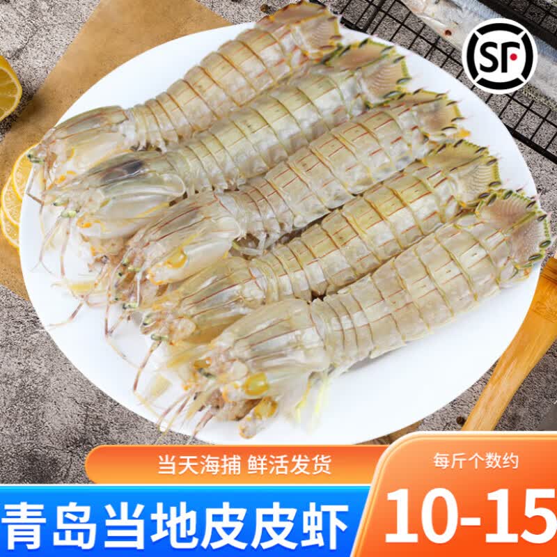 十里馋青岛皮皮虾鲜活虾虎琵琶虾新鲜虾姑海鲜水产虾爬子撒尿虾富贵虾