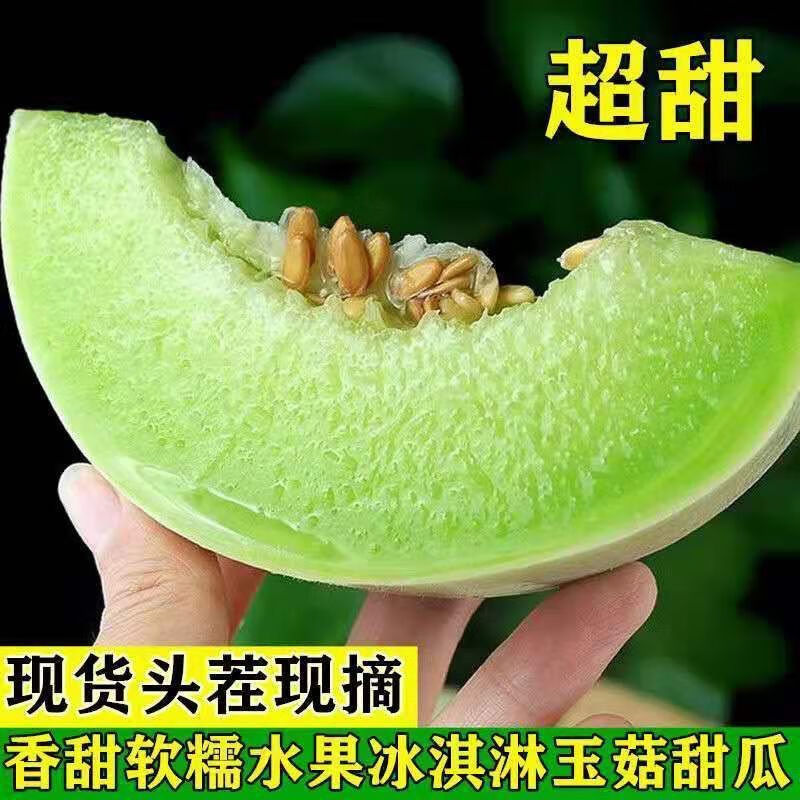 果迎鲜玉菇甜瓜 新鲜水果 海南冰淇淋香瓜 净果4.5斤整箱5斤