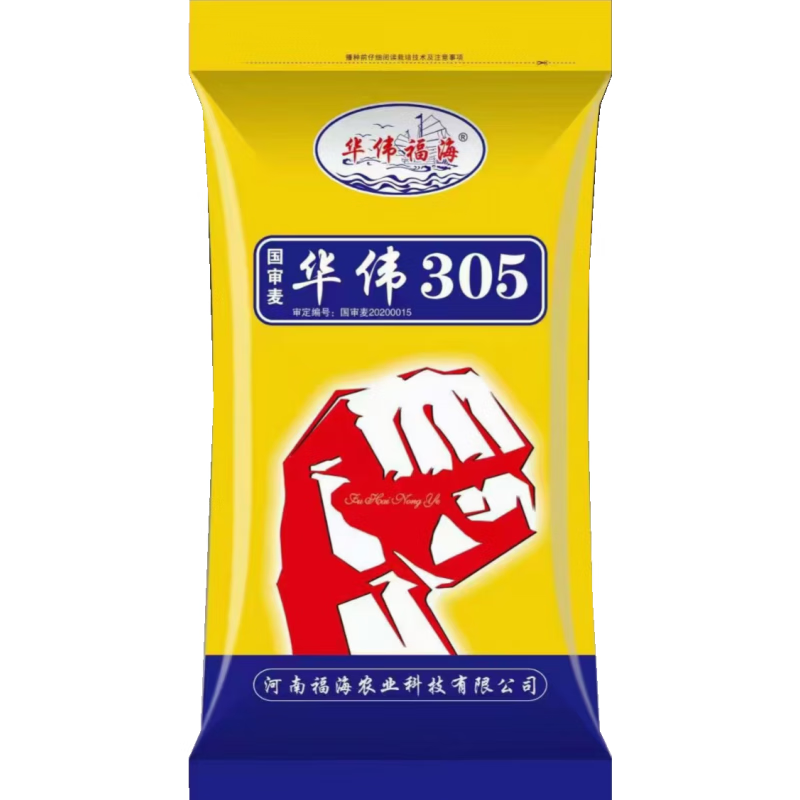禾之润国审华伟305小麦种子原厂原种丰产稳产抗冻抗病抗倒强筋麦 拌种