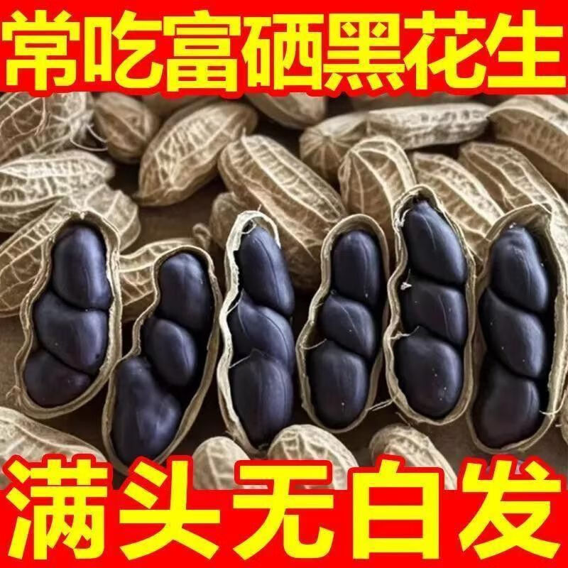云南富硒生黑花生带壳生黑花生黑衣花生养胃花生富硒黑花生米 生带壳4斤