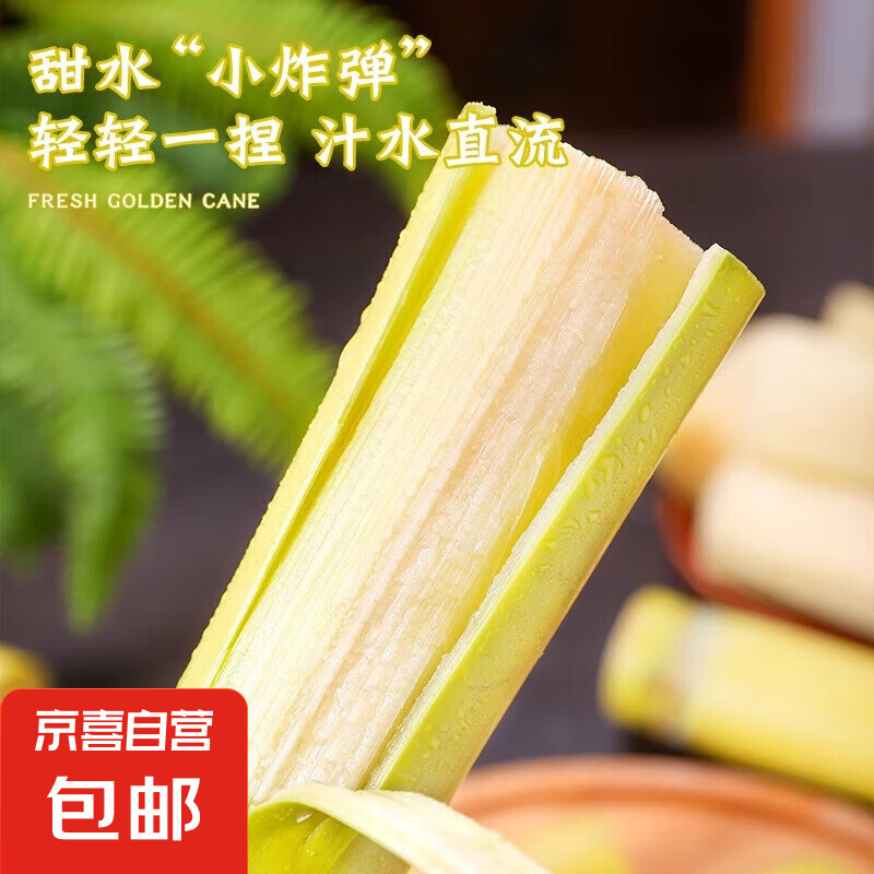 新鲜云南黄金黄皮甘蔗脆皮老树脆甜爆汁当季果蔗正宗孕妇水果 黄金甘蔗带箱1斤