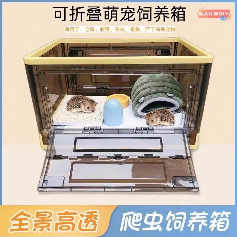 非洲迷你刺猬活物送笼子活体纯种幼崽宠物已打疫苗包健康打过带笼