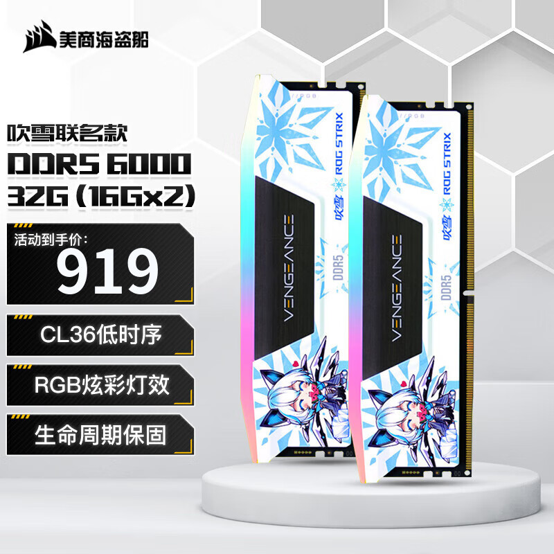 美商海盗船（USCORSAIR）DDR5 RGB 灯条吹雪联名款 台式机内存条 复仇者系列 游戏型 复仇者32G(16G*2) 6000 吹雪联名款
