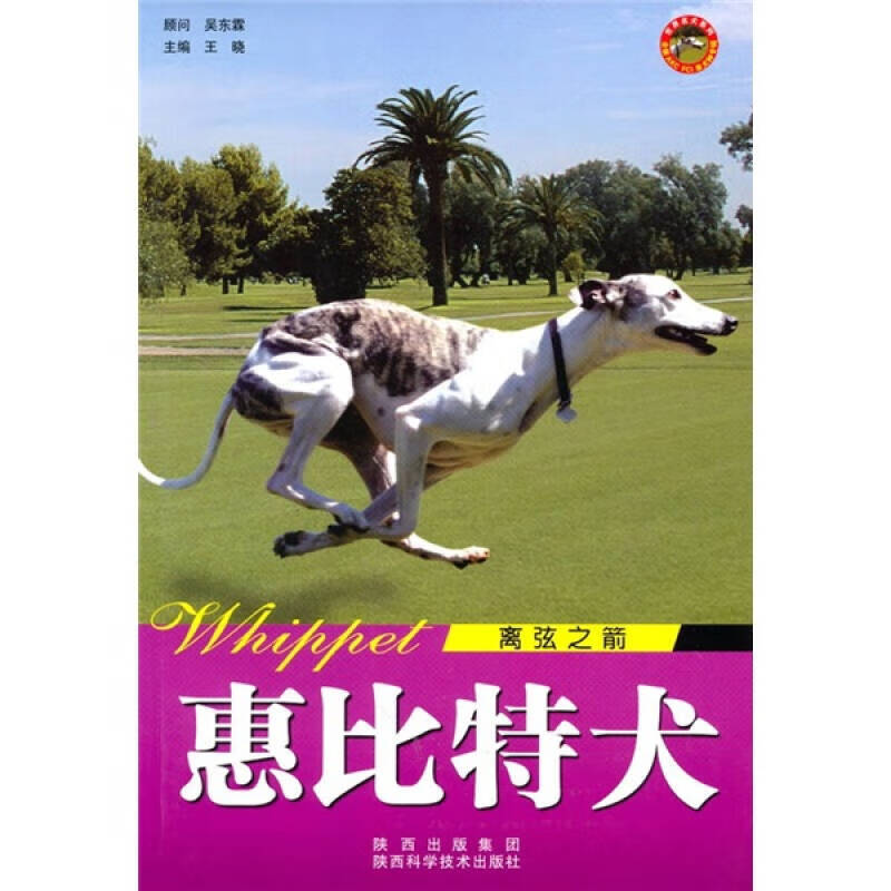 【正版现货】世界名犬 惠比特犬(离弦之箭)