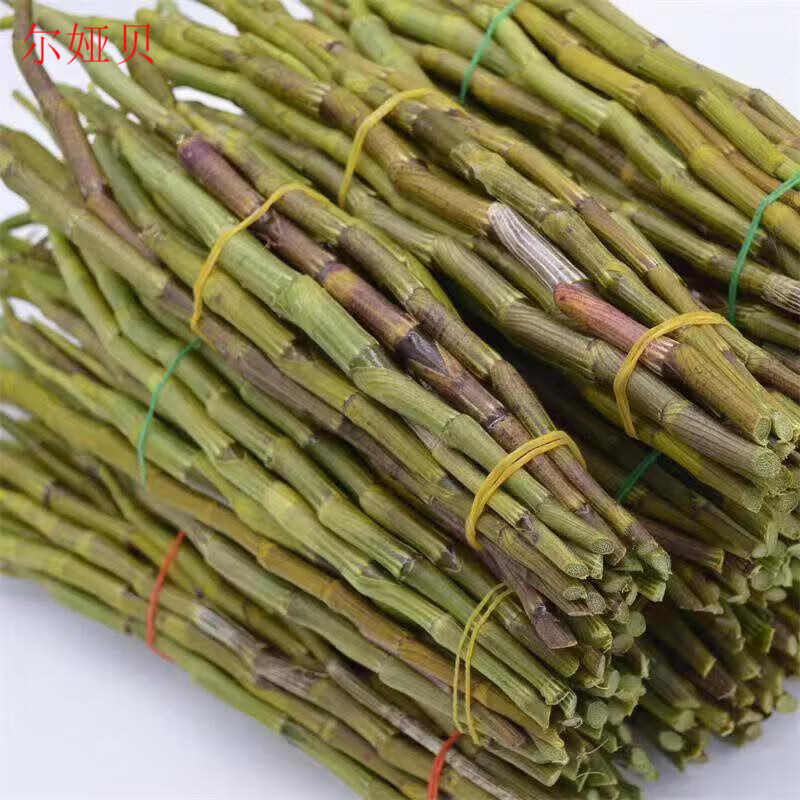 正宗云南铁皮紫皮石斛石斛新鲜现摘现发榨汁煲汤泡酒材 石斛鲜条250克