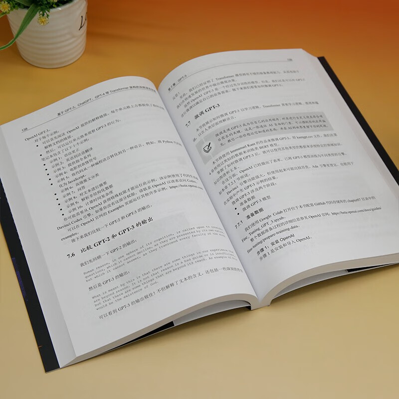 大模型应用解决方案 基于ChatGPT和GPT-4等Transformer架构的自然语言处理