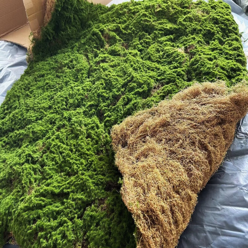 底是丝状仿真苔藓地毯草坪绿植青苔墙园林软装假山沙盘橱窗造景 一平方价格100厘米长100厘米宽