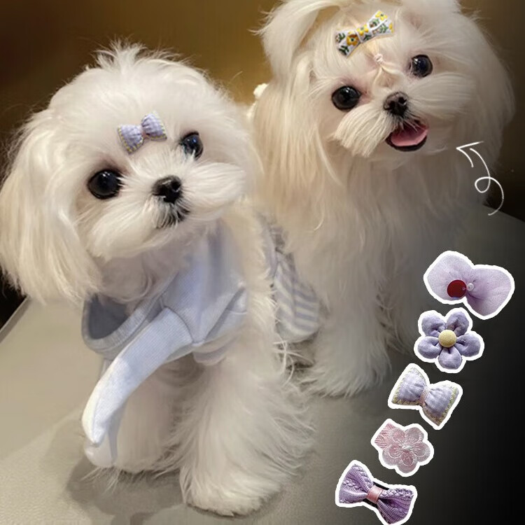 ��������﷢�й���bb��̩�Ϸ���è��ͷ���ļ��Ӳ����ɰ�������Ʒ���� �����ṷ�ӷ��С��������ס�