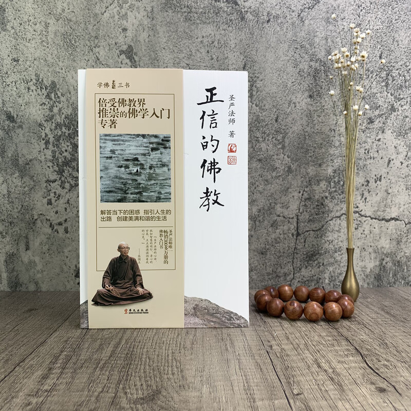 正信的佛教 学佛三书 圣严法师/著 解答挡下的困难 只因人生的出路