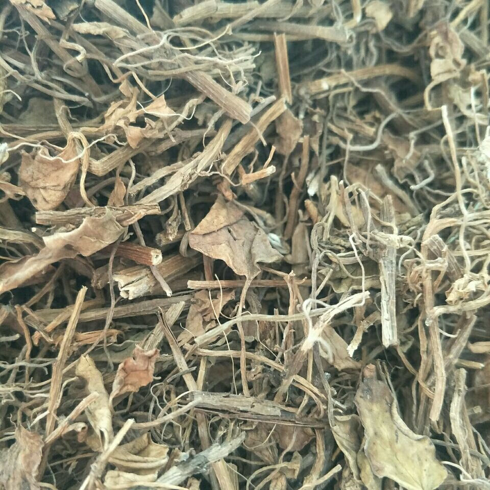 北京同仁堂精选同品质中药材 白花马鞍藤 鲎藤 厚藤 马蹄草 海牵牛