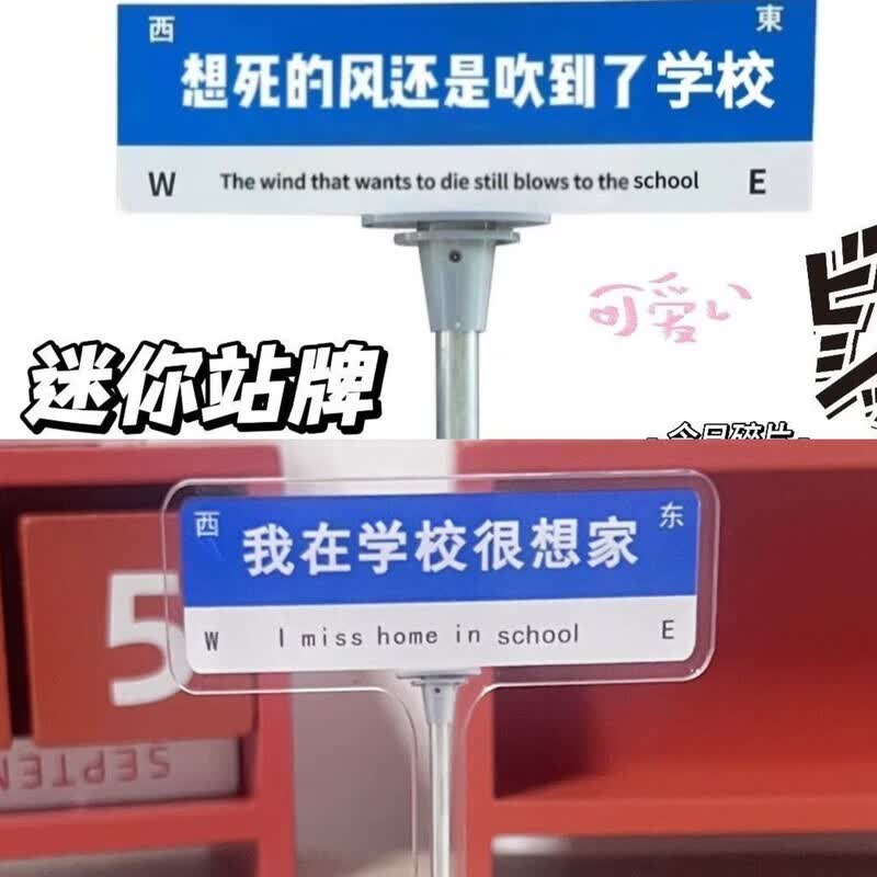 当玳人的精神寄托-小红书同款 学生党心声【很想家 想s的风】2件