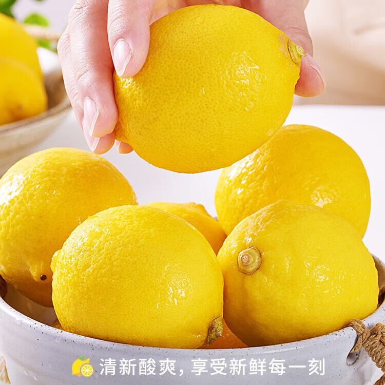 uncle lemon新鲜柠檬四川特产安岳水果榨汁泡茶切片整箱奶茶店果茶产地直供 20个（单果重量80g左右）