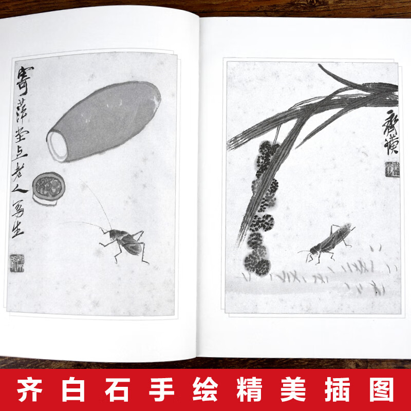 朝花夕拾原著正版 鲁迅著文学经典七、八、九年级必读中小学生 朝花夕拾 本