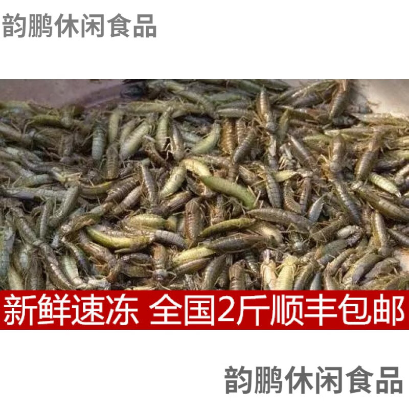 维霆野生水蜻蜓云南特产水蝎子下巴虫幼虫新鲜速冻烧烤500g满2斤