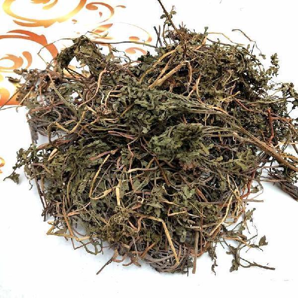 北京中药材野小春花一朵云阴蕨蛇不见独脚金鸡阴厥