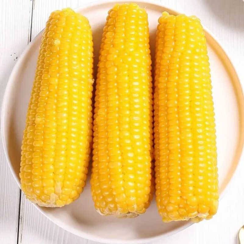黑龙江黄糯玉米棒东北黏玉米真空包装黏苞米 甜糯8支【】 黄糯玉米小棒【200g-255g】