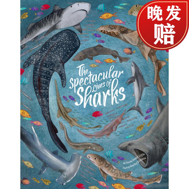 【4周达】spectacular lives of sharks