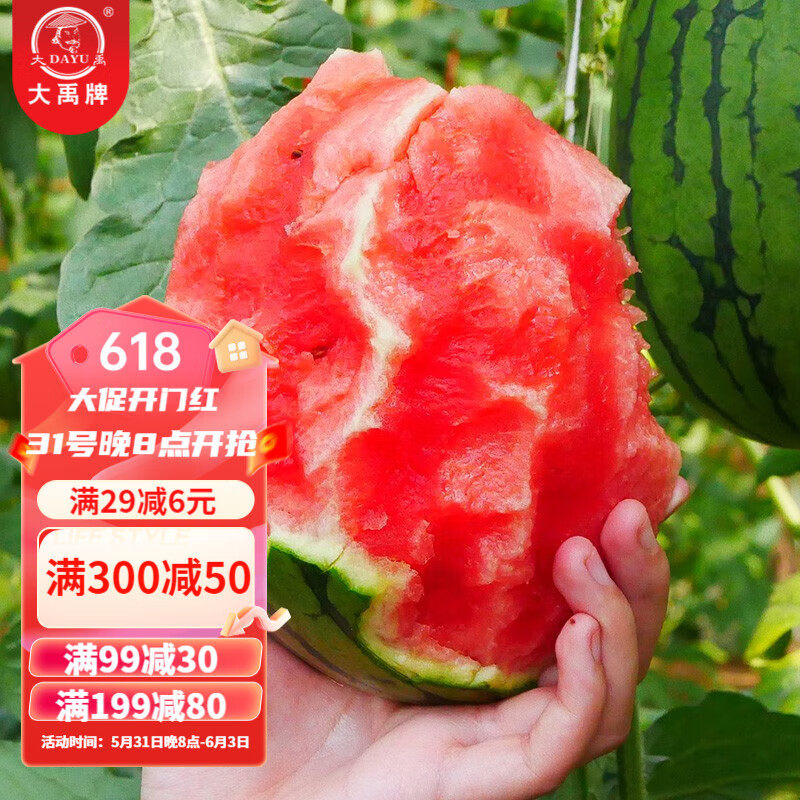 种子苗嫁接秧苗盆栽西瓜种苗阳台带土幼苗麒麟瓜 早春红玉2号西瓜20粒