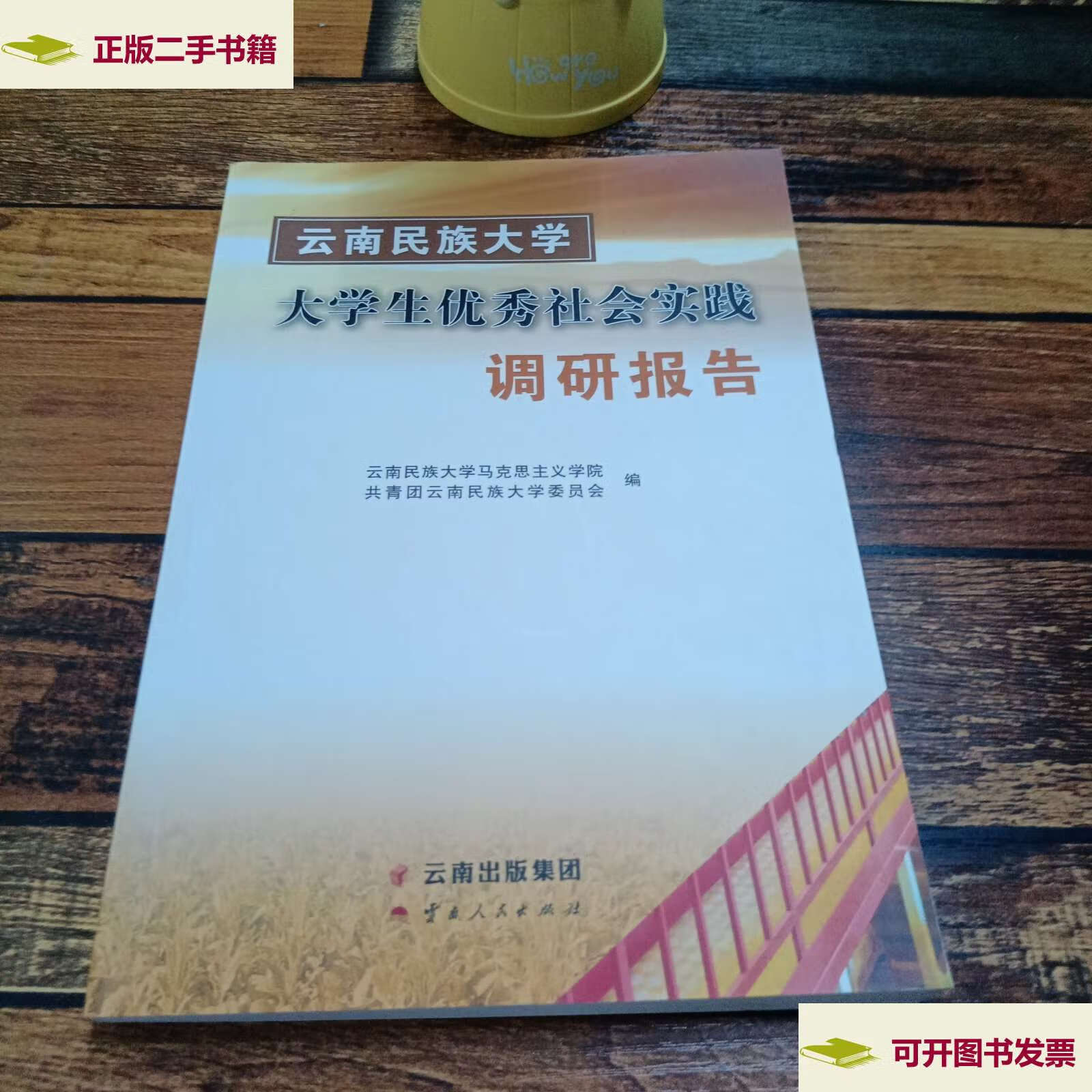 【二手9成新】云南民族大学学生优秀社会实践调研报告 /刘娟 云南人民