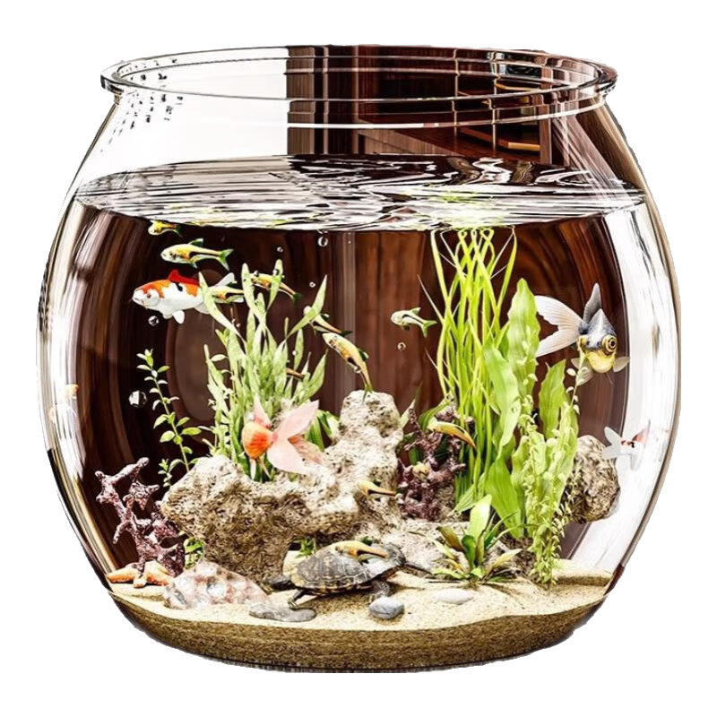 ɴԲһͷ²ˤˤС̬ ްԺ+ 32.81Ԫ