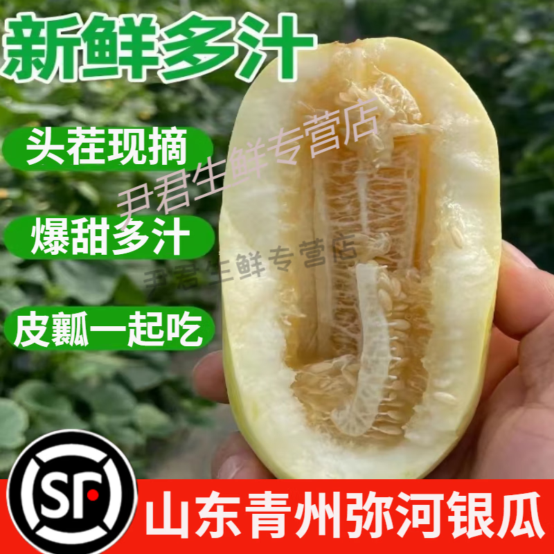 山东青州弥河火银瓜大关营银瓜新鲜水果脆香甜瓜香瓜礼盒装现摘 2500g
