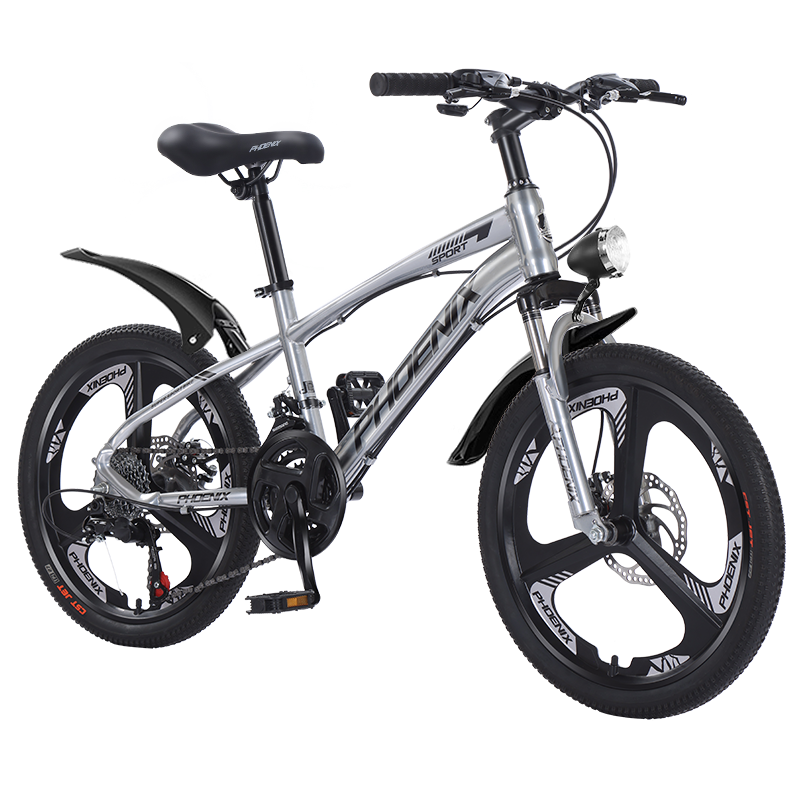 ˣPhoenixͯгɽسŮͯСѧ2025¿612̤ ⰲװ/ȫСַ 20磺1.25-1.45 458Ԫ