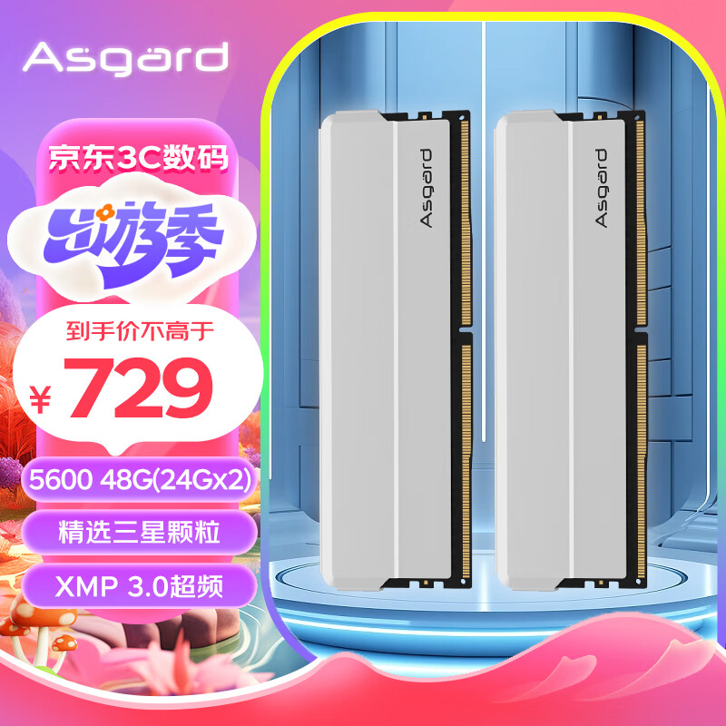 阿斯加特（Asgard）48GB(24GBx2)套装 DDR5 5600 台式机内存 海拉系列