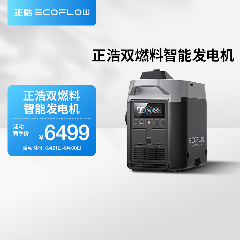 ECOFLOW220V双燃料智能户外发电机房车户外自驾露营停电应急移动电源供电 1W 标准 标准