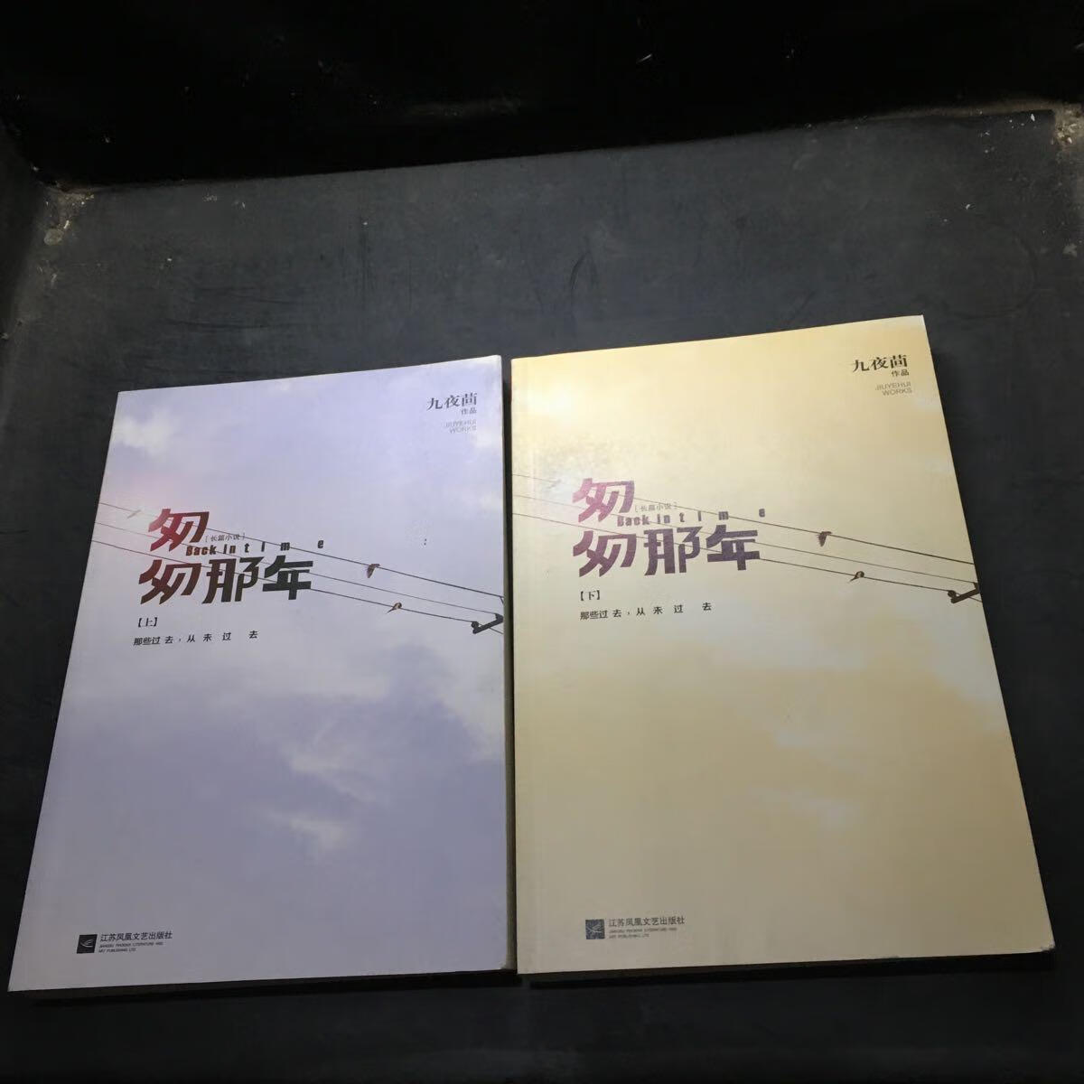 匆匆那年 9787539976587 九夜茴作品