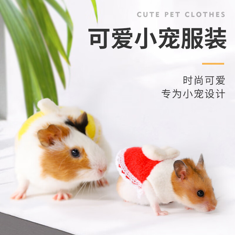 榄茵迷你小号松鼠红腹龙猫花枝鼠金丝熊荷兰猪牵引绳子仓鼠的衣服