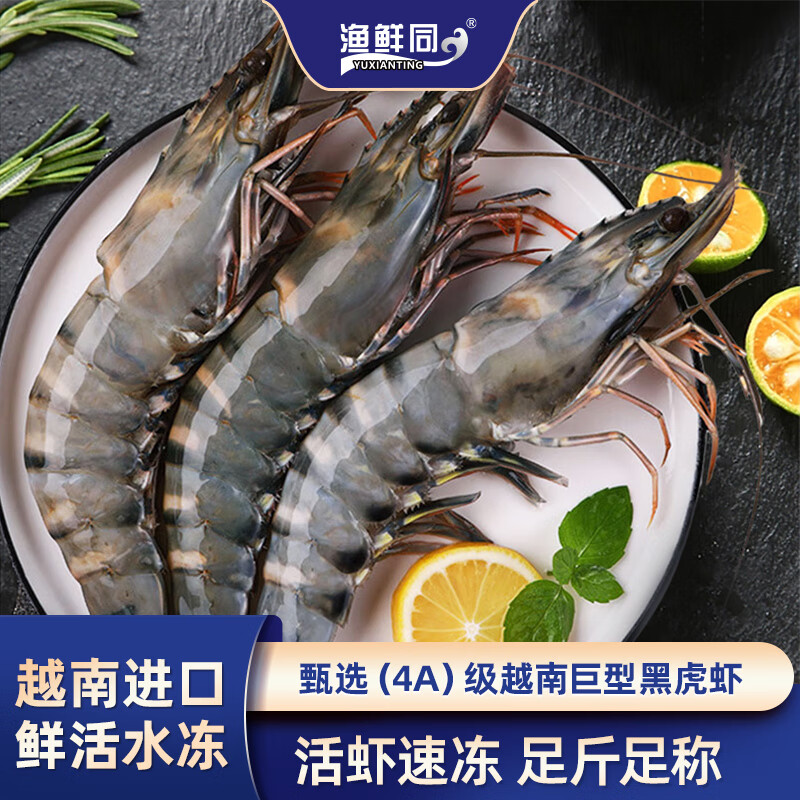 渔鲜同yuxianting越南巨型黑虎虾500g*6头鲜活速冻水冻海鲜生鲜火锅