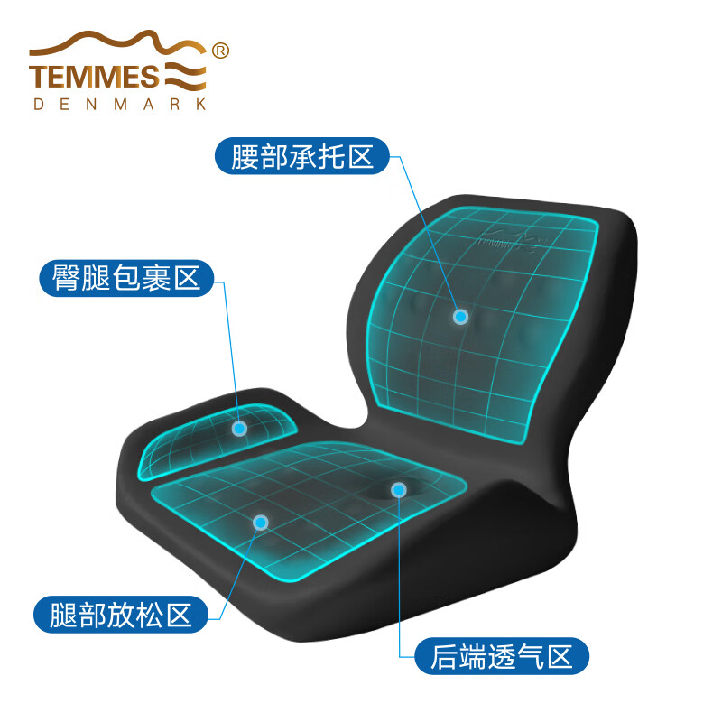 TEMMES 丹麦泰梅斯 坐垫腰靠垫办公椅久坐舒臀背靠垫人体工学靠背一体垫 星空灰 软弹释压芯材