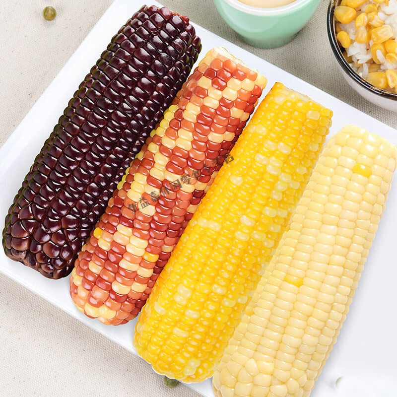 食芳溢东方甄选鲜玉米东北农嫂黄糯玉米东北特产黑花玉米 【软糯香】黄糯8根 180g