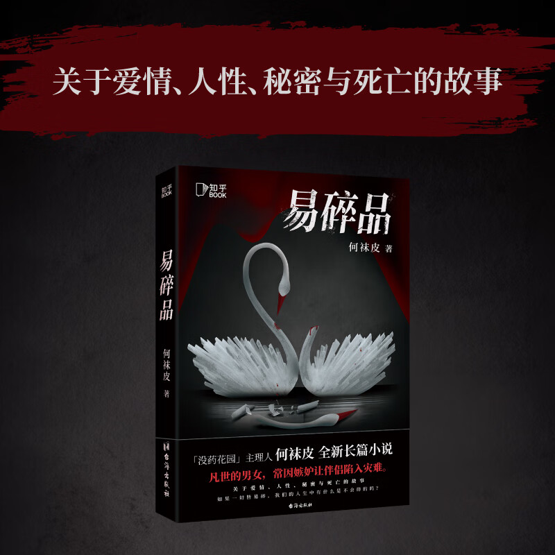 没药花园作者新作 采用多视角第二人称叙事节奏紧凑悬疑推理长篇小说