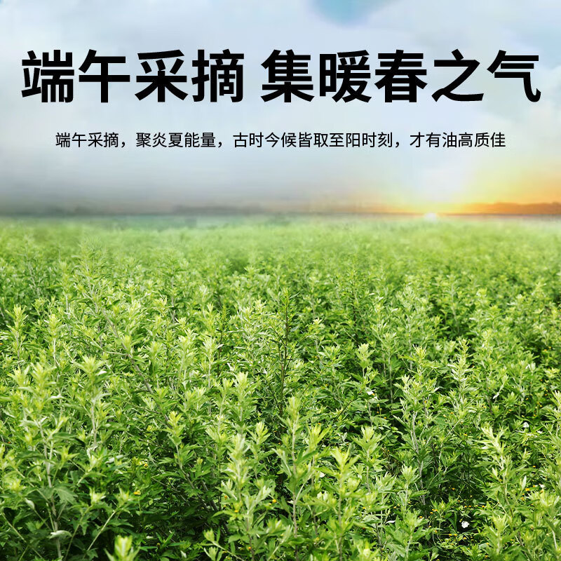 妙艾堂艾条艾柱驱蚊虫香熏房间医用艾灸祛通湿气经络陈年纯艾草条 50支香熏驱蚊艾条+2个不锈钢底座