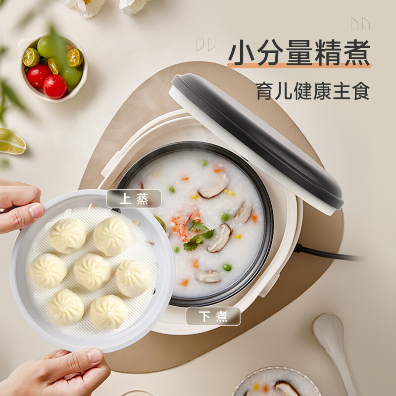 ZEMKON德国家用电饭煲智能预约迷你多功能小型电饭锅 低糖款 2.5L