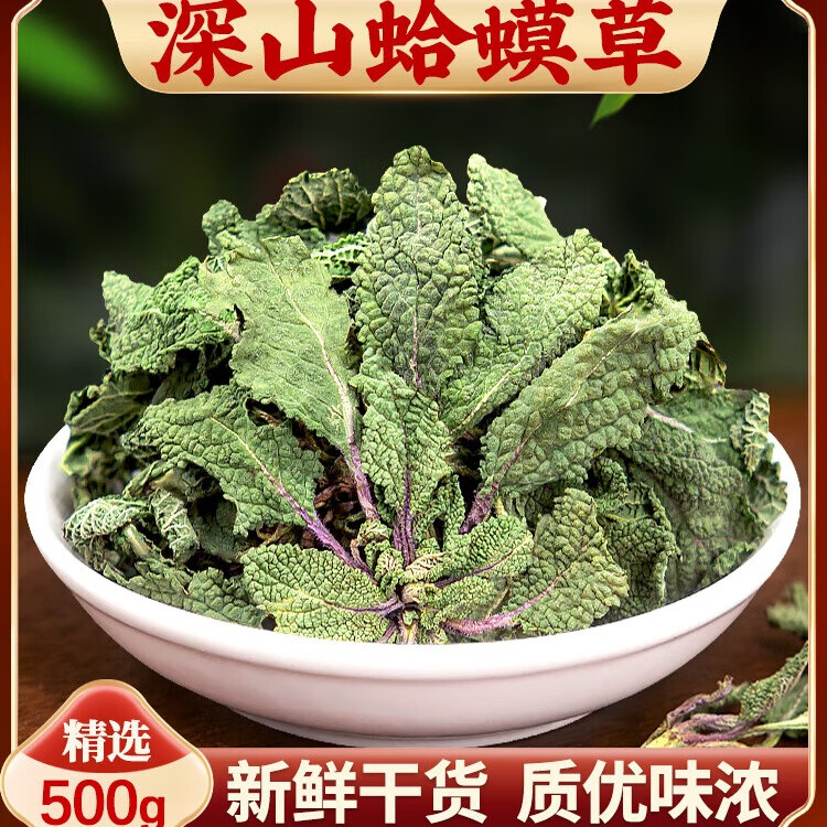 蛤蟆草中草药蛤蟆皮草癞蛤蟆草茶的功效雪见草哈嗼草癞蛤蟆草癞河马草